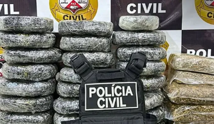 COMBATE AO TRÁFICO - Polícia Civil apreende 30 quilos de maconha em operação em São Miguel do Guaporé
